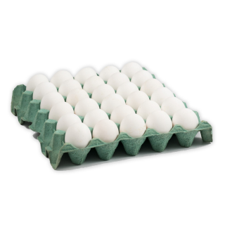 Maple de Huevo x2 - Termo...